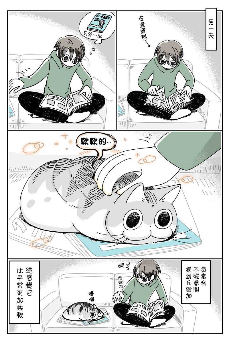 第43话-关于养猫我一直是新手-キュルZ（第3张）