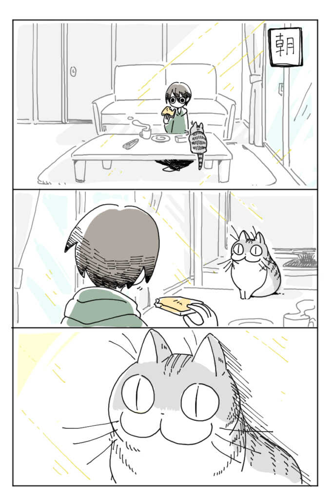第3话-关于养猫我一直是新手-キュルZ（第12张）