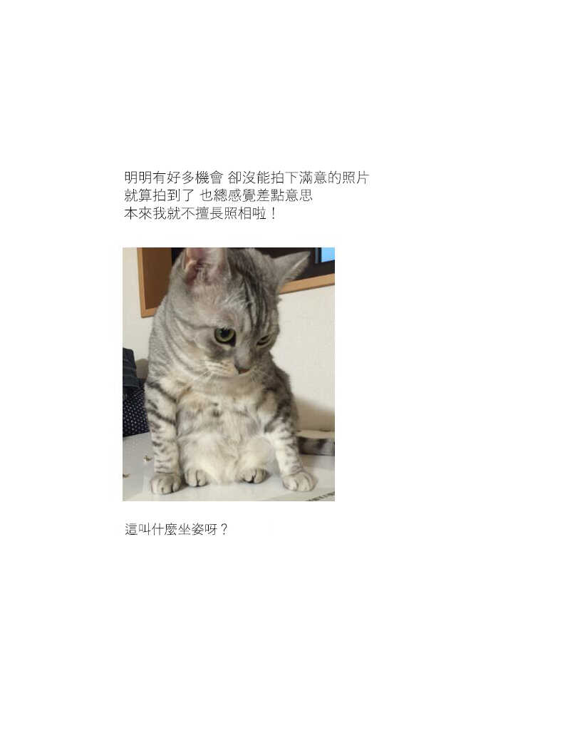第7话-关于养猫我一直是新手-キュルZ（第5张）