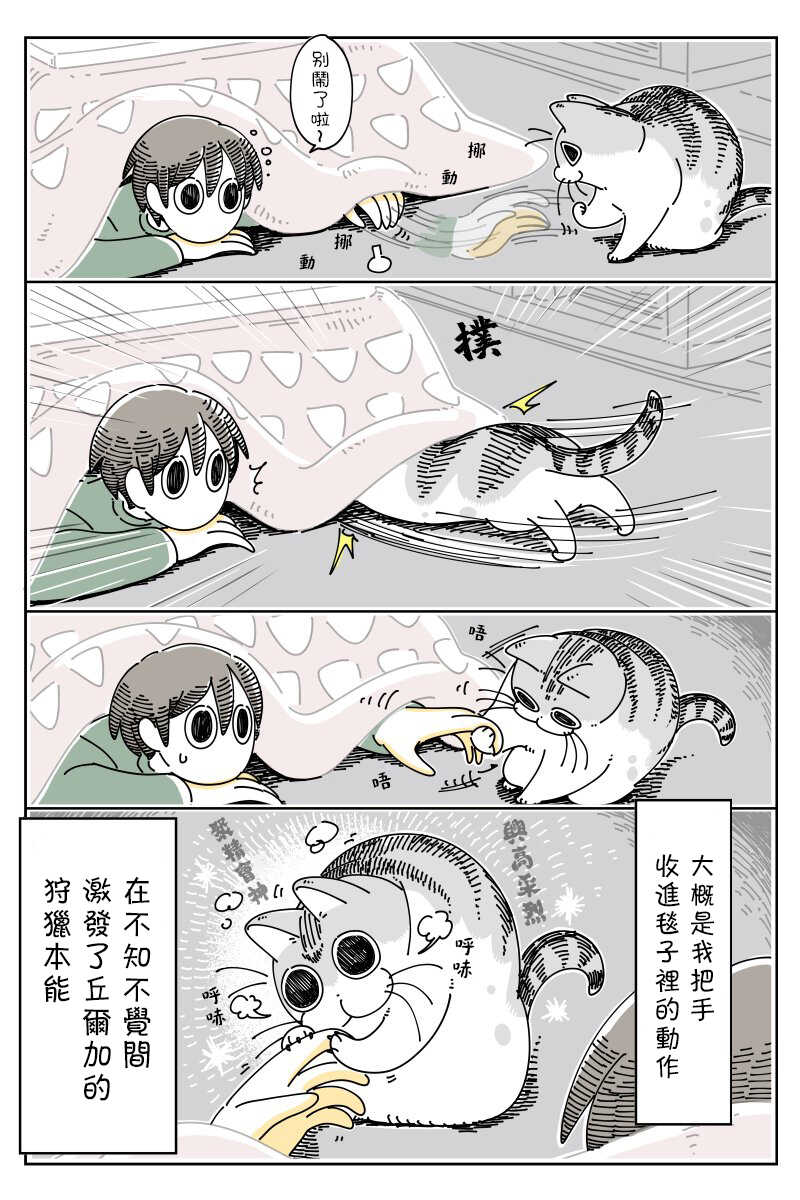 第45话-关于养猫我一直是新手-キュルZ（第3张）
