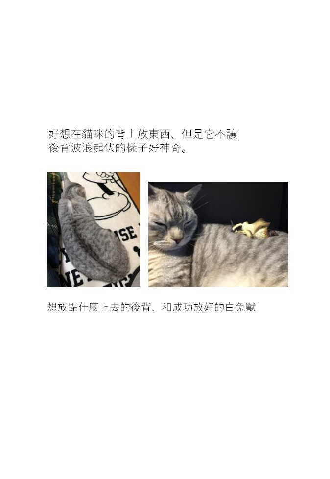 第16话-关于养猫我一直是新手-キュルZ（第5张）