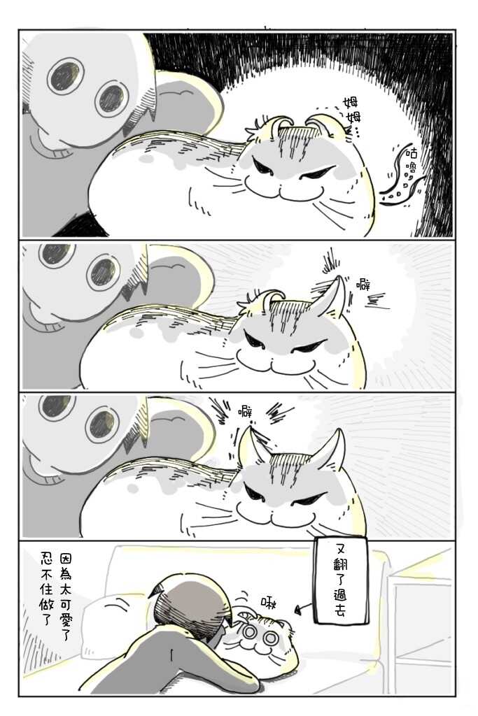 第5话-关于养猫我一直是新手-キュルZ（第12张）