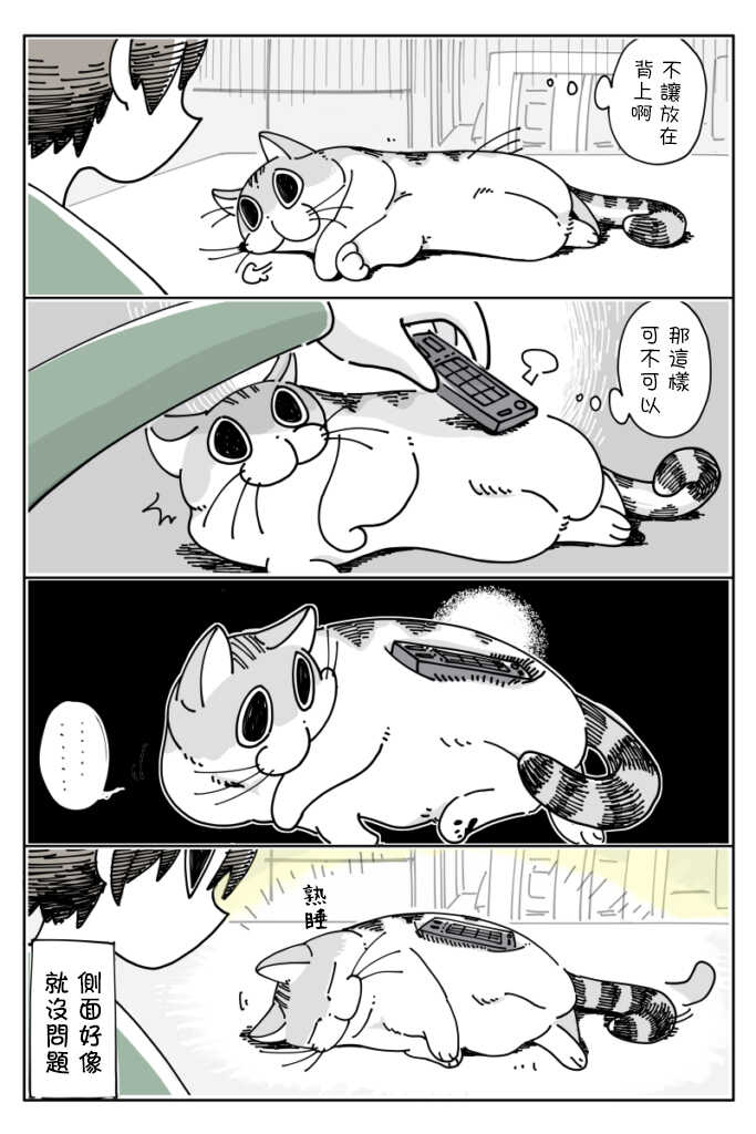 第16话-关于养猫我一直是新手-キュルZ（第4张）