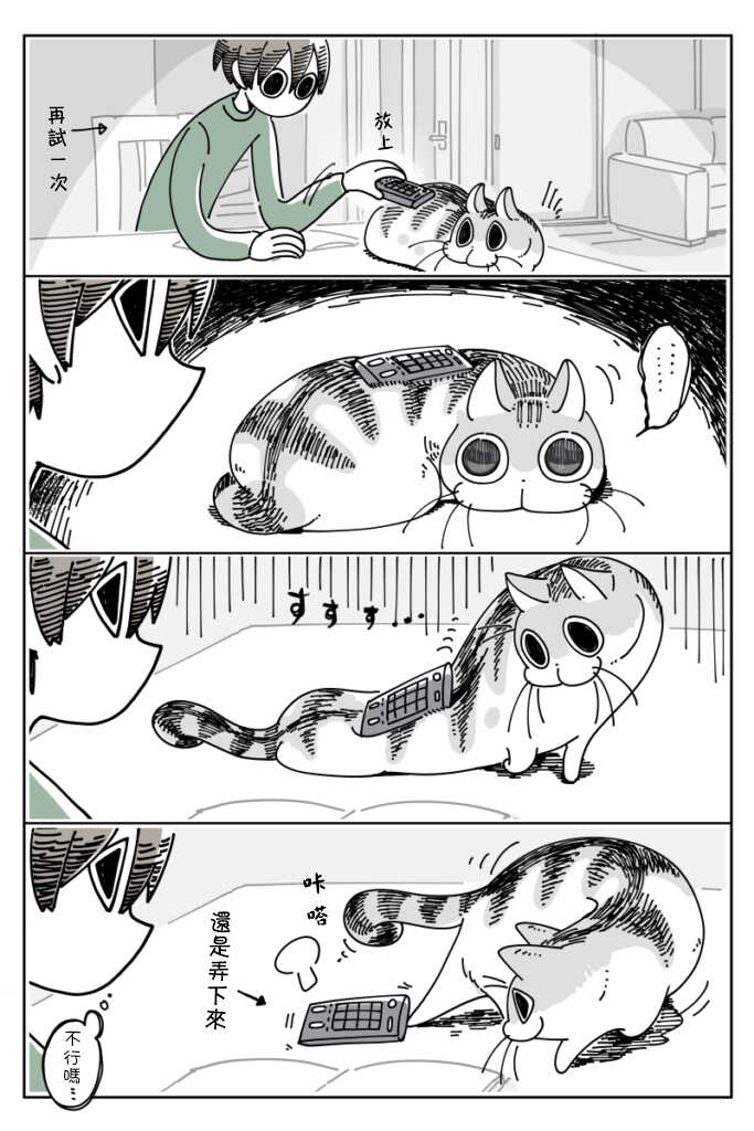 第16话-关于养猫我一直是新手-キュルZ（第3张）