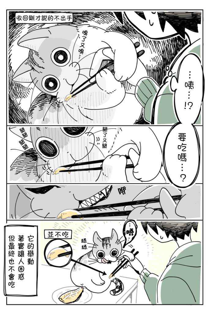 第9话-关于养猫我一直是新手-キュルZ（第4张）