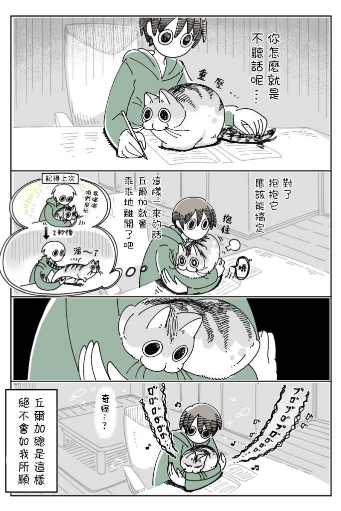 第41话-关于养猫我一直是新手-キュルZ（第3张）