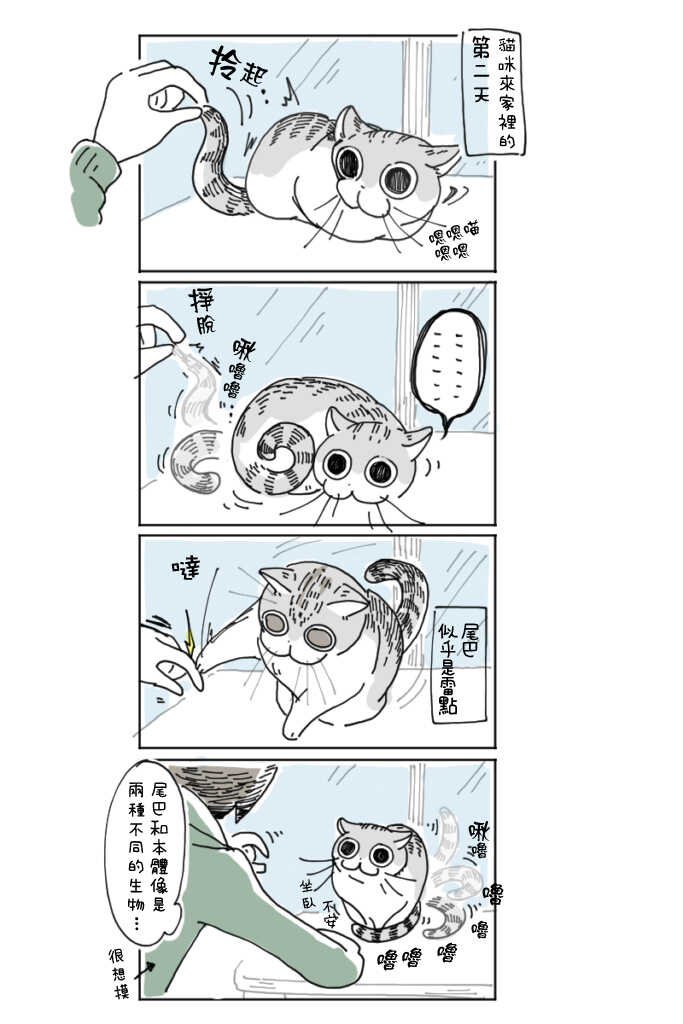 第3话-关于养猫我一直是新手-キュルZ（第3张）
