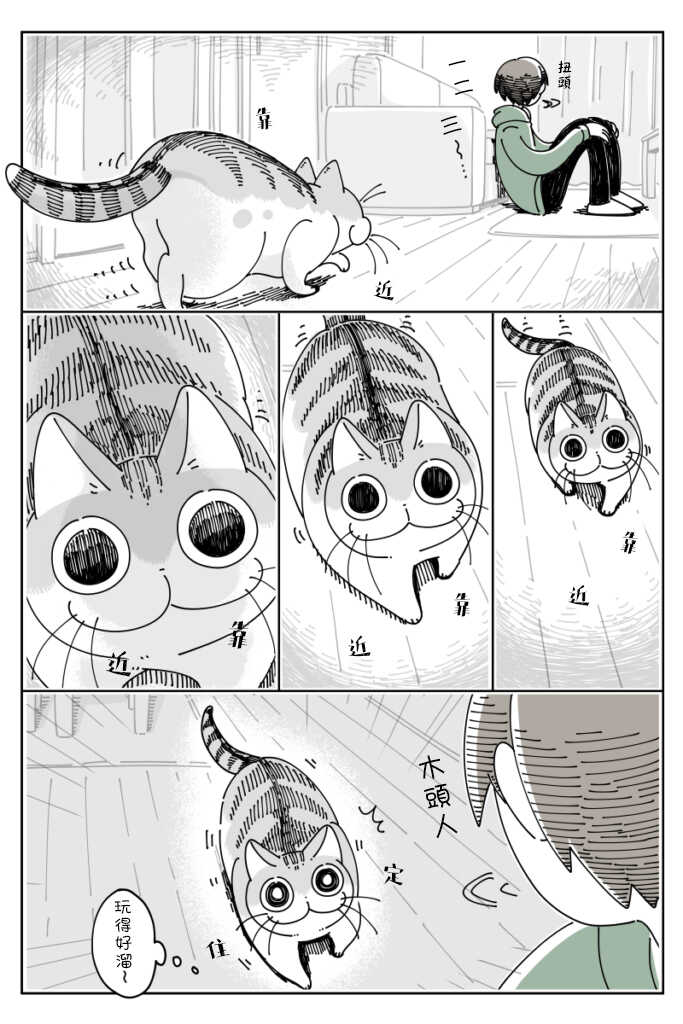 第38话-关于养猫我一直是新手-キュルZ（第3张）