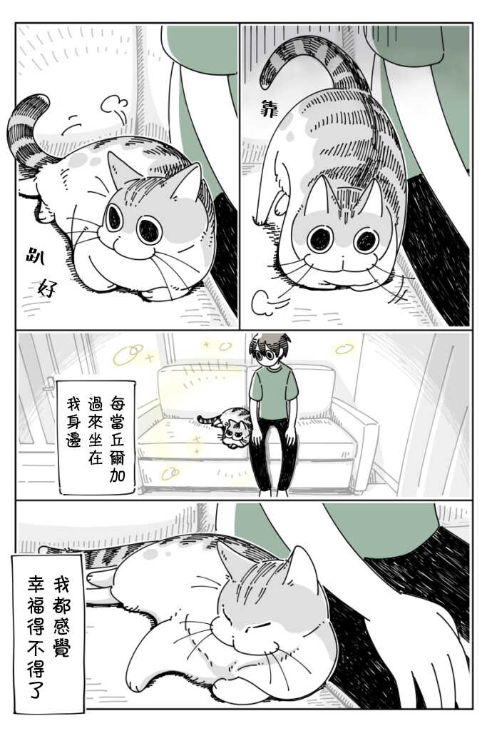 第25话-关于养猫我一直是新手-キュルZ（第2张）