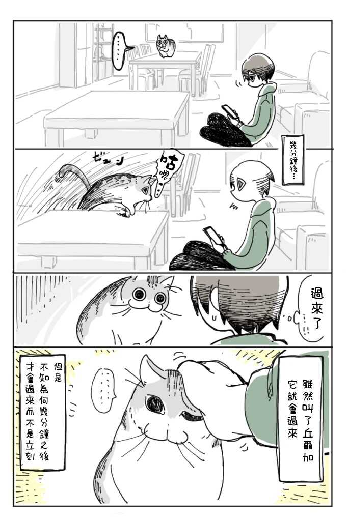 第5话-关于养猫我一直是新手-キュルZ（第4张）