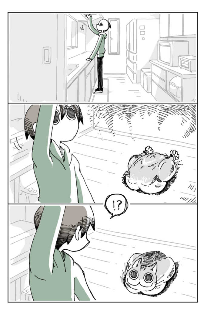 第4话-关于养猫我一直是新手-キュルZ（第12张）