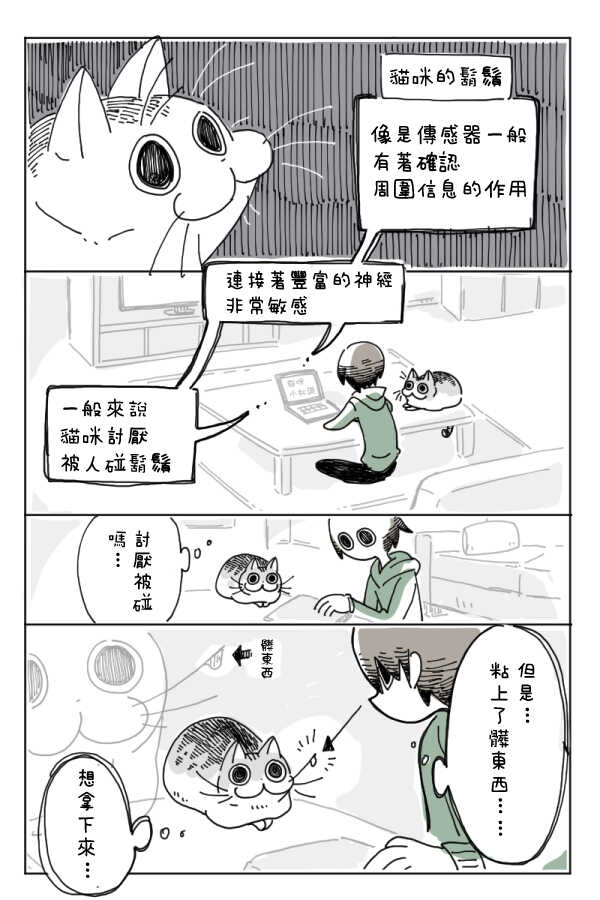 第4话-关于养猫我一直是新手-キュルZ（第7张）