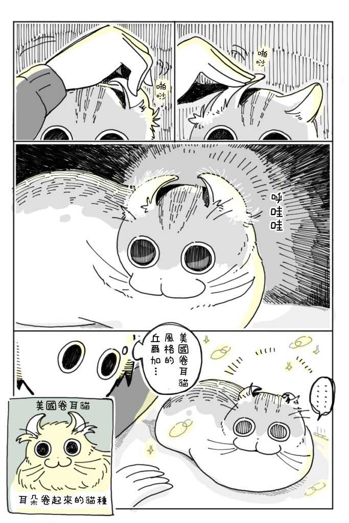 第5话-关于养猫我一直是新手-キュルZ（第10张）