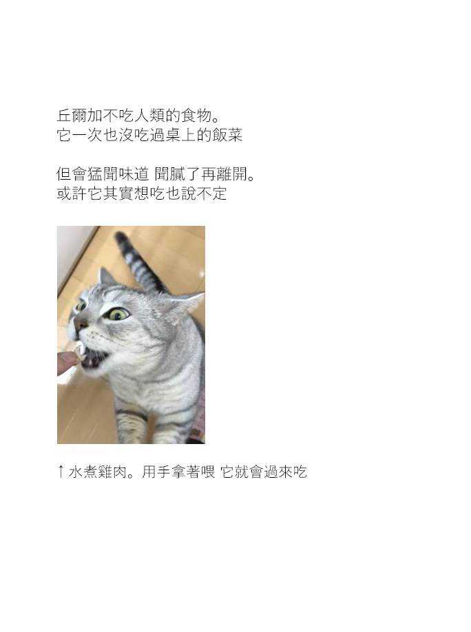 第9话-关于养猫我一直是新手-キュルZ（第5张）