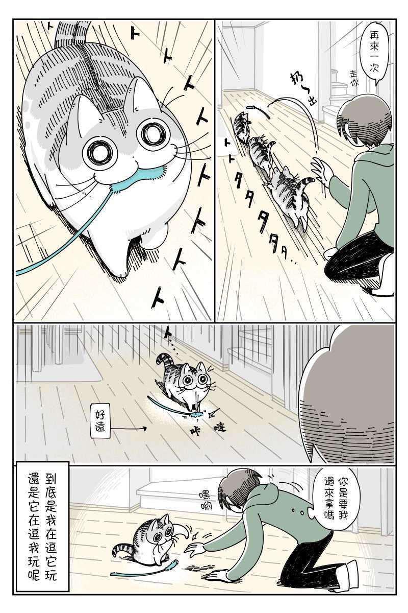 第42话-关于养猫我一直是新手-キュルZ（第3张）
