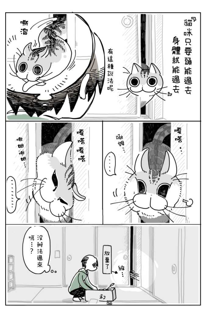第5话-关于养猫我一直是新手-キュルZ（第16张）