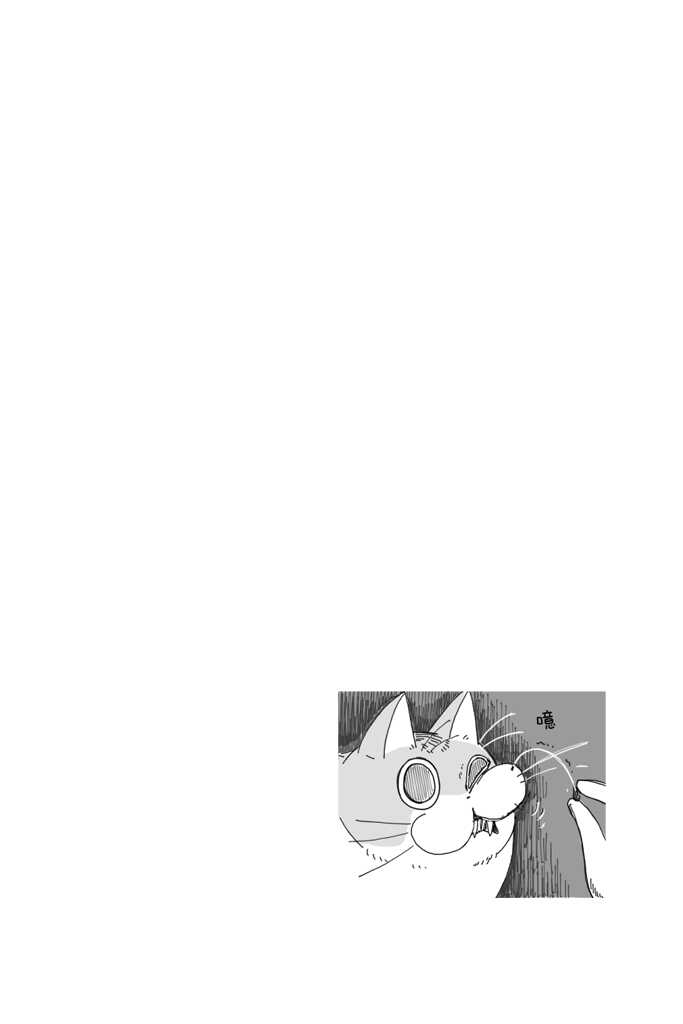第4话-关于养猫我一直是新手-キュルZ（第5张）