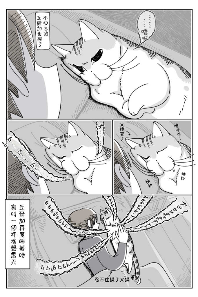 第37话-关于养猫我一直是新手-キュルZ（第3张）