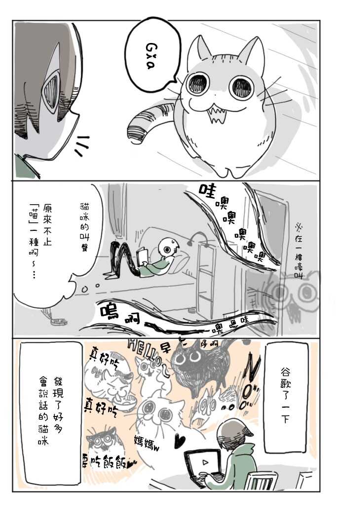 第2话-关于养猫我一直是新手-キュルZ（第5张）