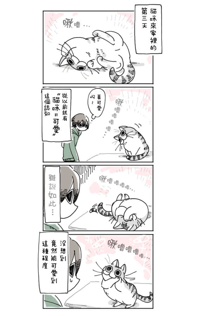第3话-关于养猫我一直是新手-キュルZ（第5张）