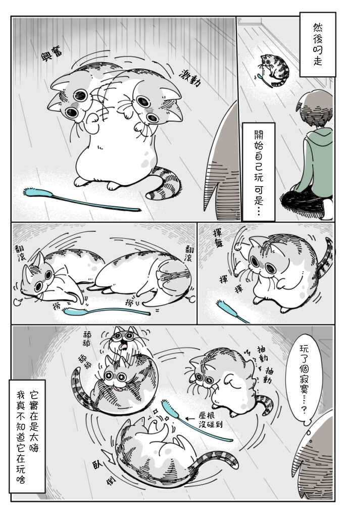 第40话-关于养猫我一直是新手-キュルZ（第3张）