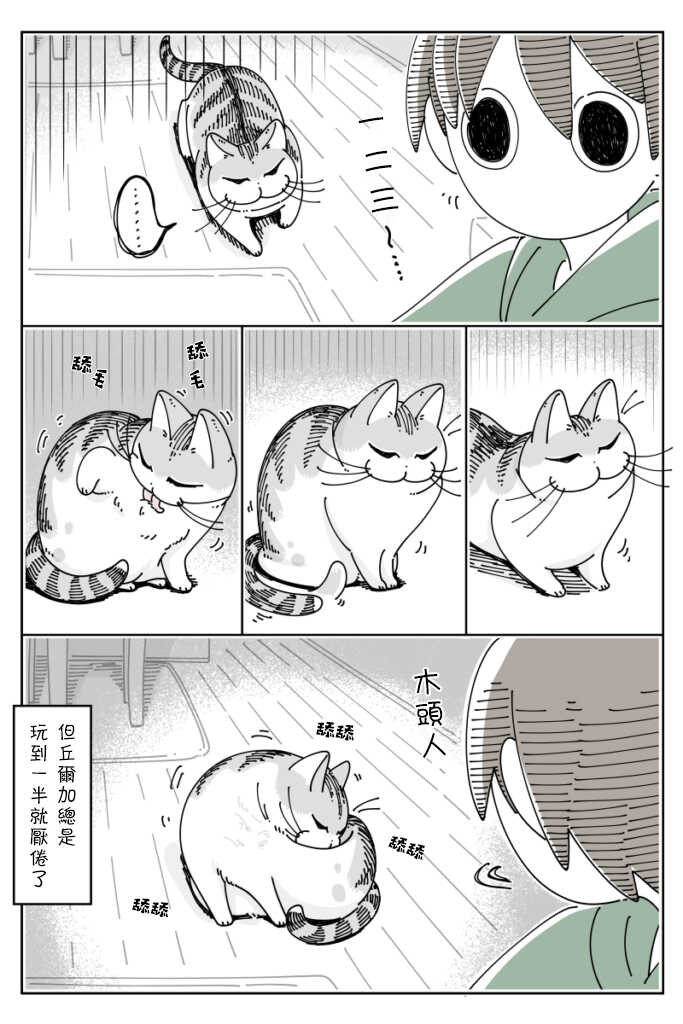 第38话-关于养猫我一直是新手-キュルZ（第4张）