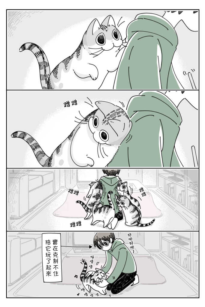 第54话-关于养猫我一直是新手-キュルZ（第3张）