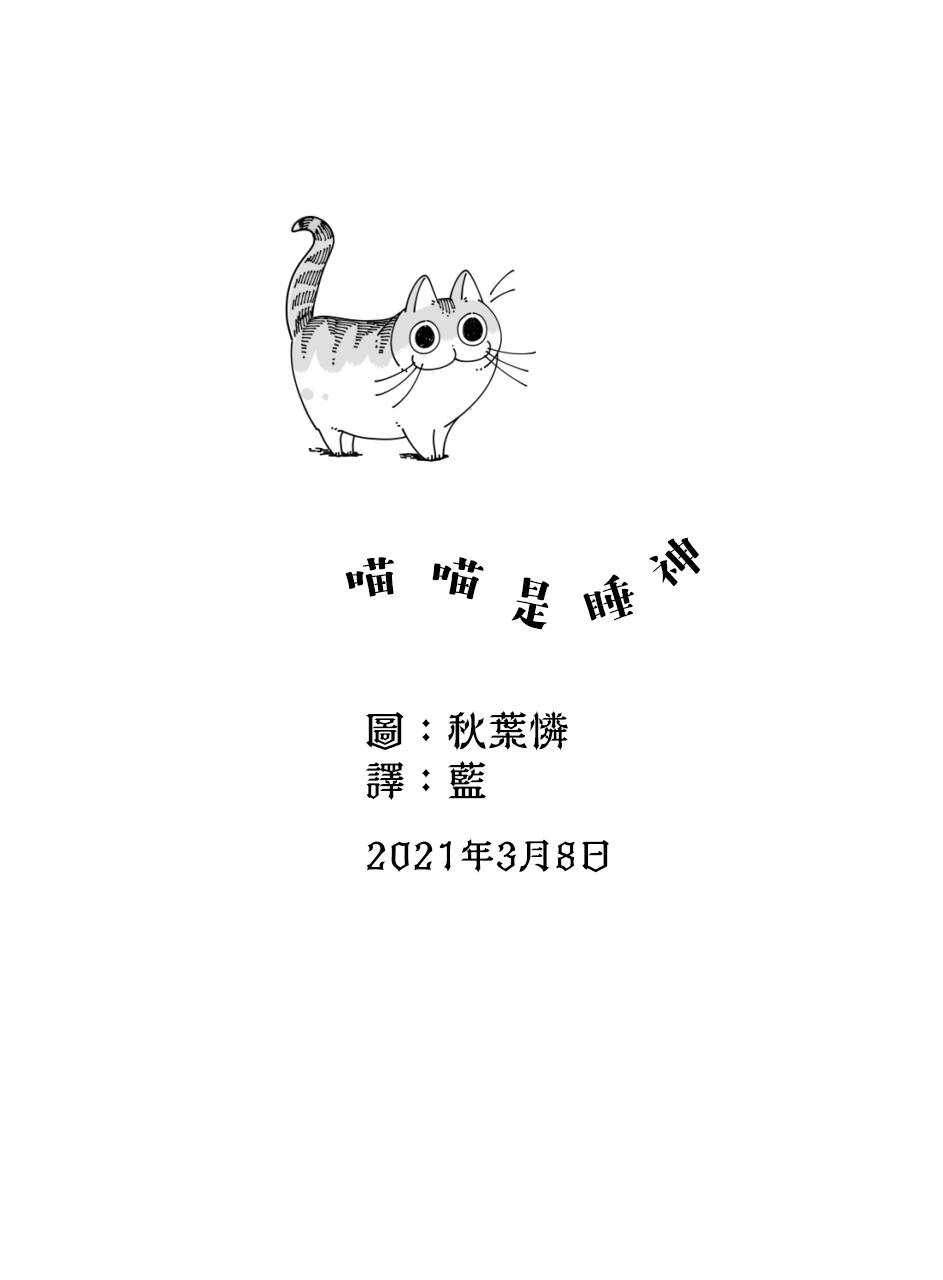 第49话-关于养猫我一直是新手-キュルZ（第4张）