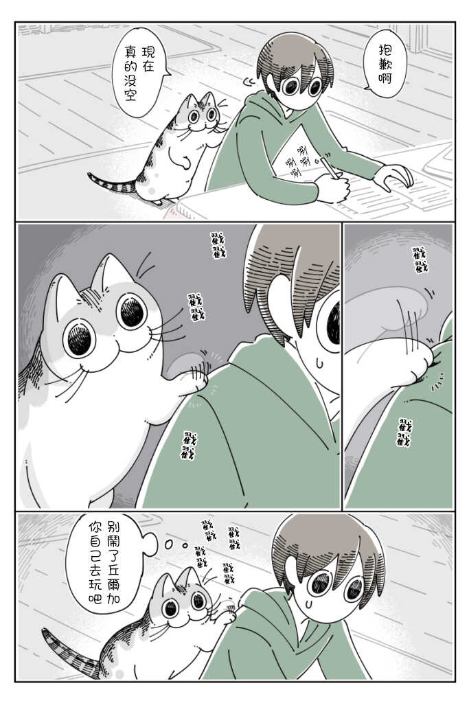 第54话-关于养猫我一直是新手-キュルZ（第2张）