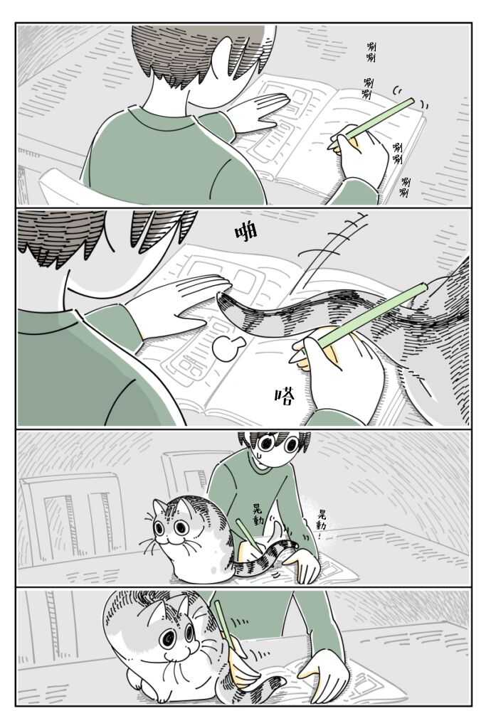 第66话-关于养猫我一直是新手-キュルZ（第3张）