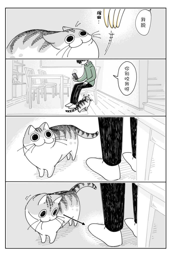 第64话-关于养猫我一直是新手-キュルZ（第2张）