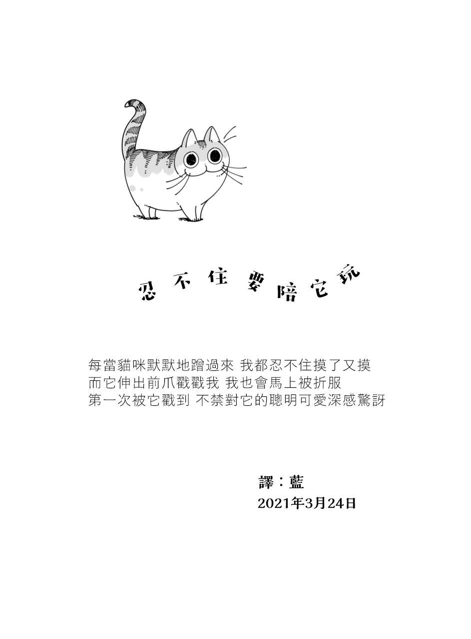 第54话-关于养猫我一直是新手-キュルZ（第4张）
