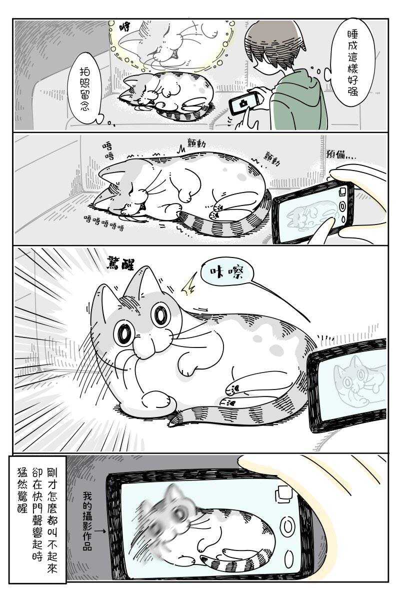 第49话-关于养猫我一直是新手-キュルZ（第3张）