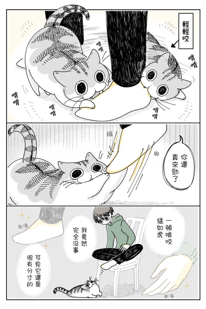 第64话-关于养猫我一直是新手-キュルZ（第3张）