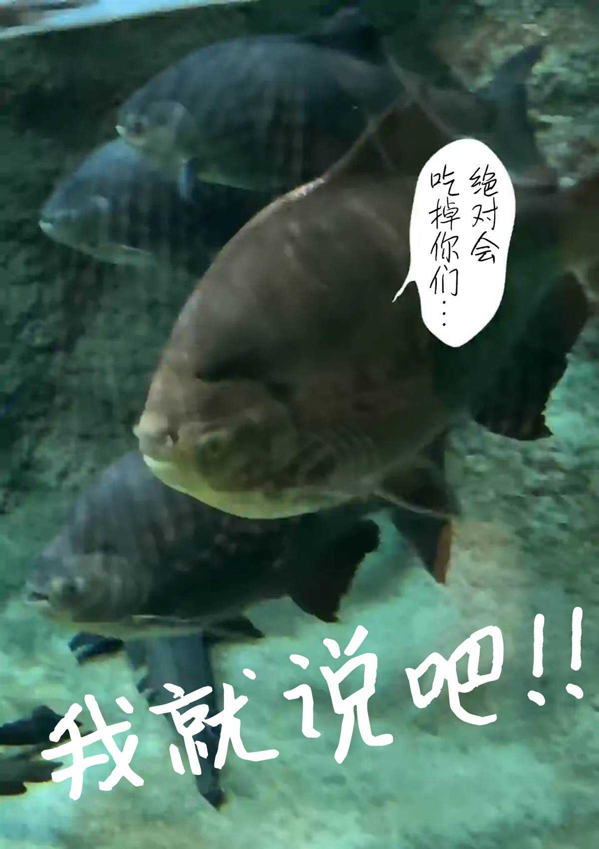 第22话-灰色兼职：逃亡禁止-田口翔太郎（第20张）