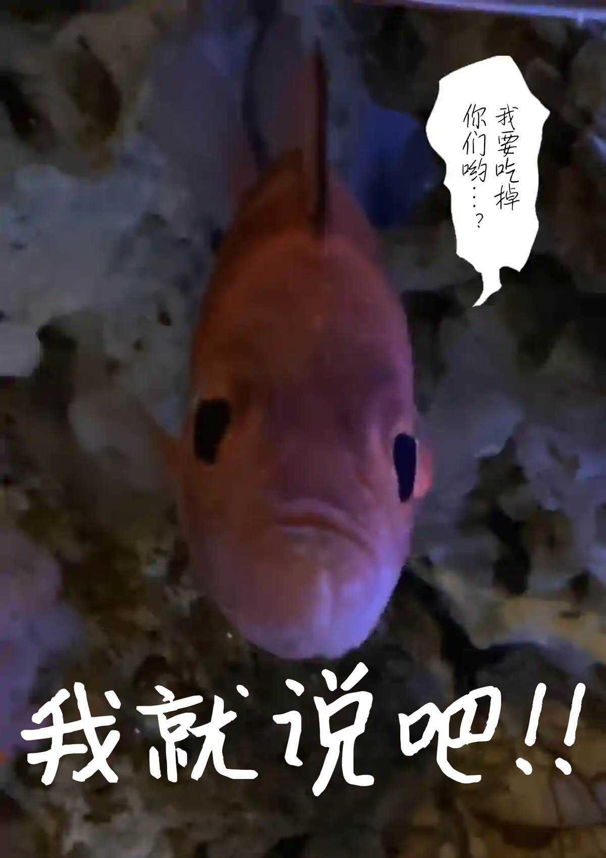 第22话-灰色兼职：逃亡禁止-田口翔太郎（第19张）