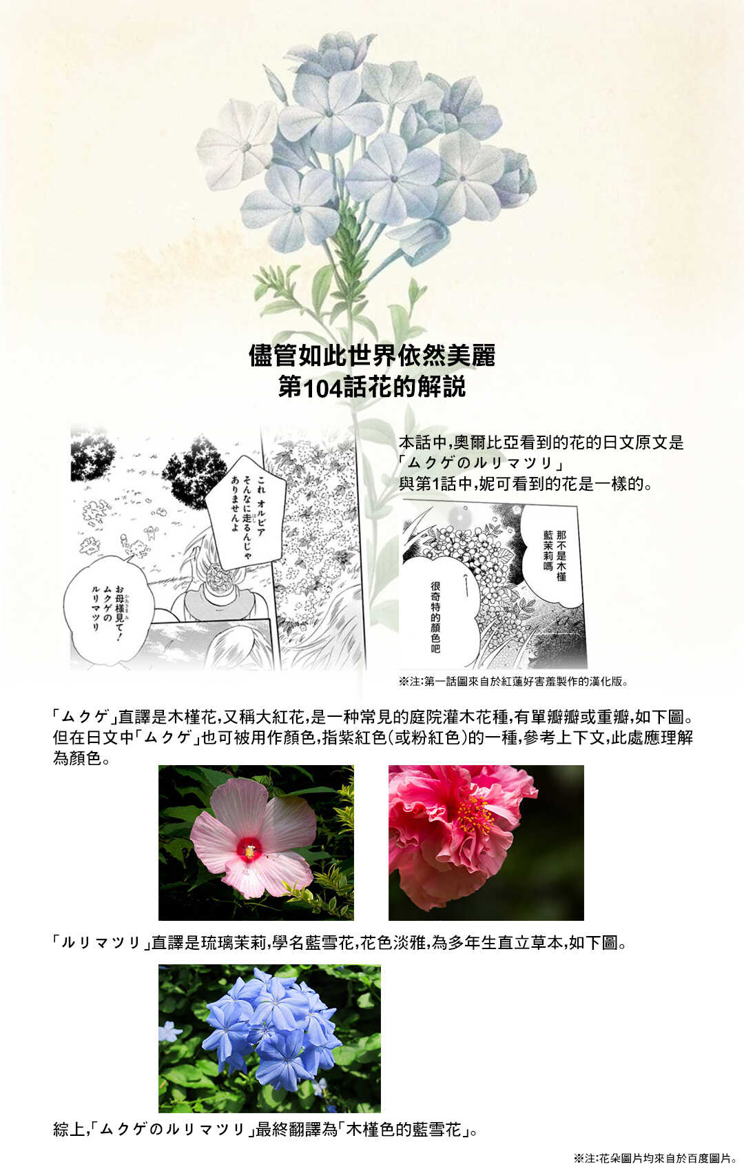 第104话-尽管如此世界依然美丽-椎名橙（第31张）