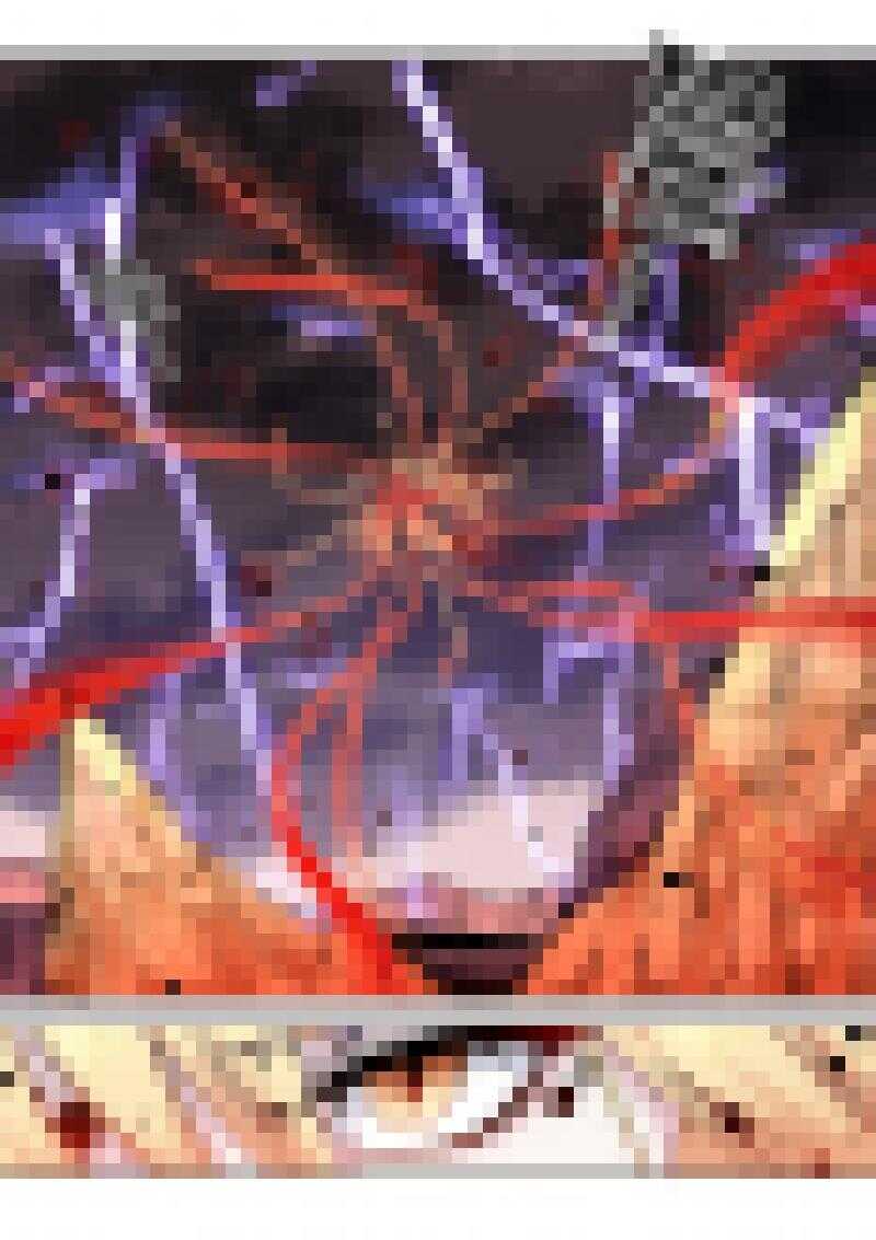 169第三十二章001-妙手仙丹-有妖气（第11张）