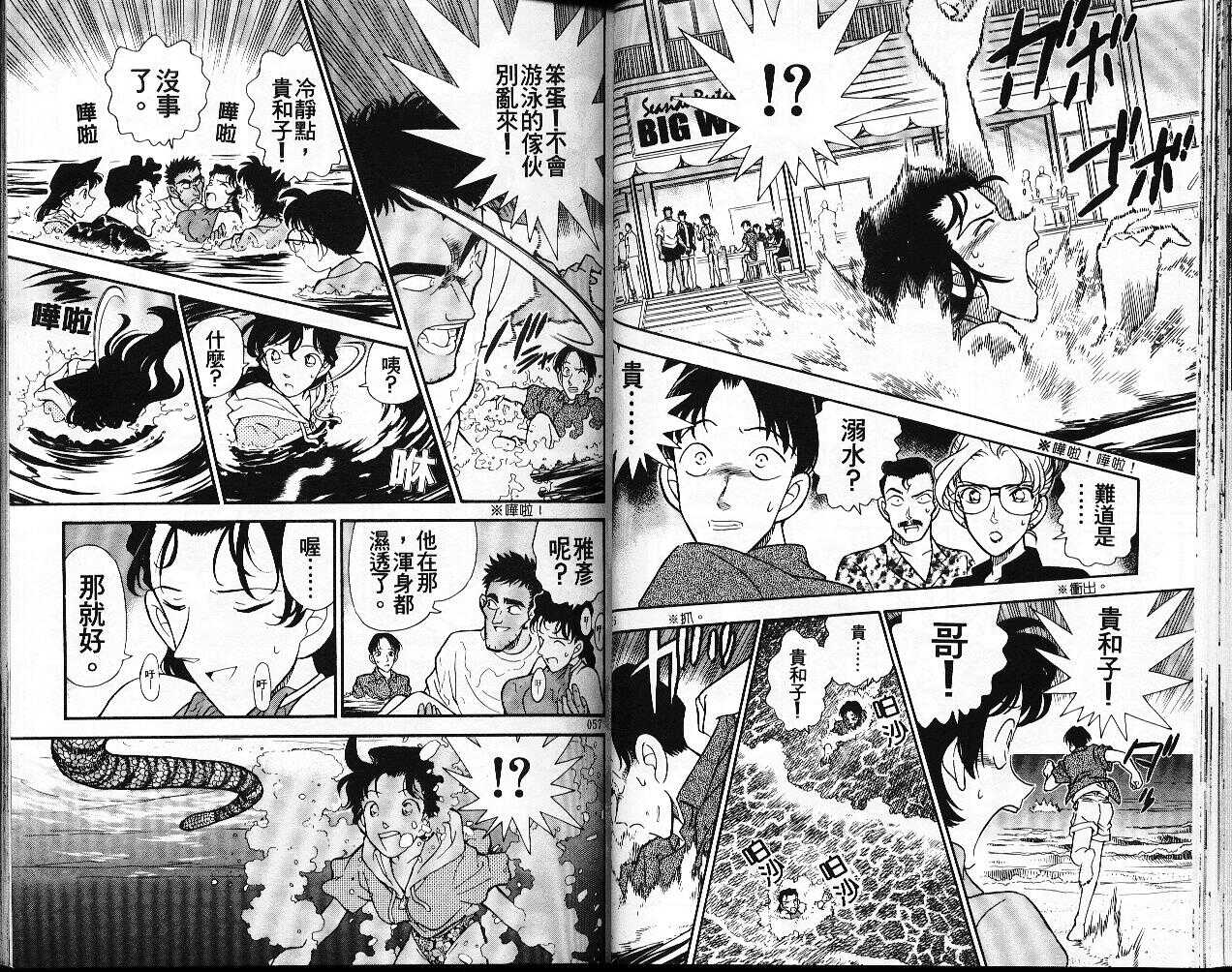 卷17-名侦探柯南-青山刚昌（第29张）