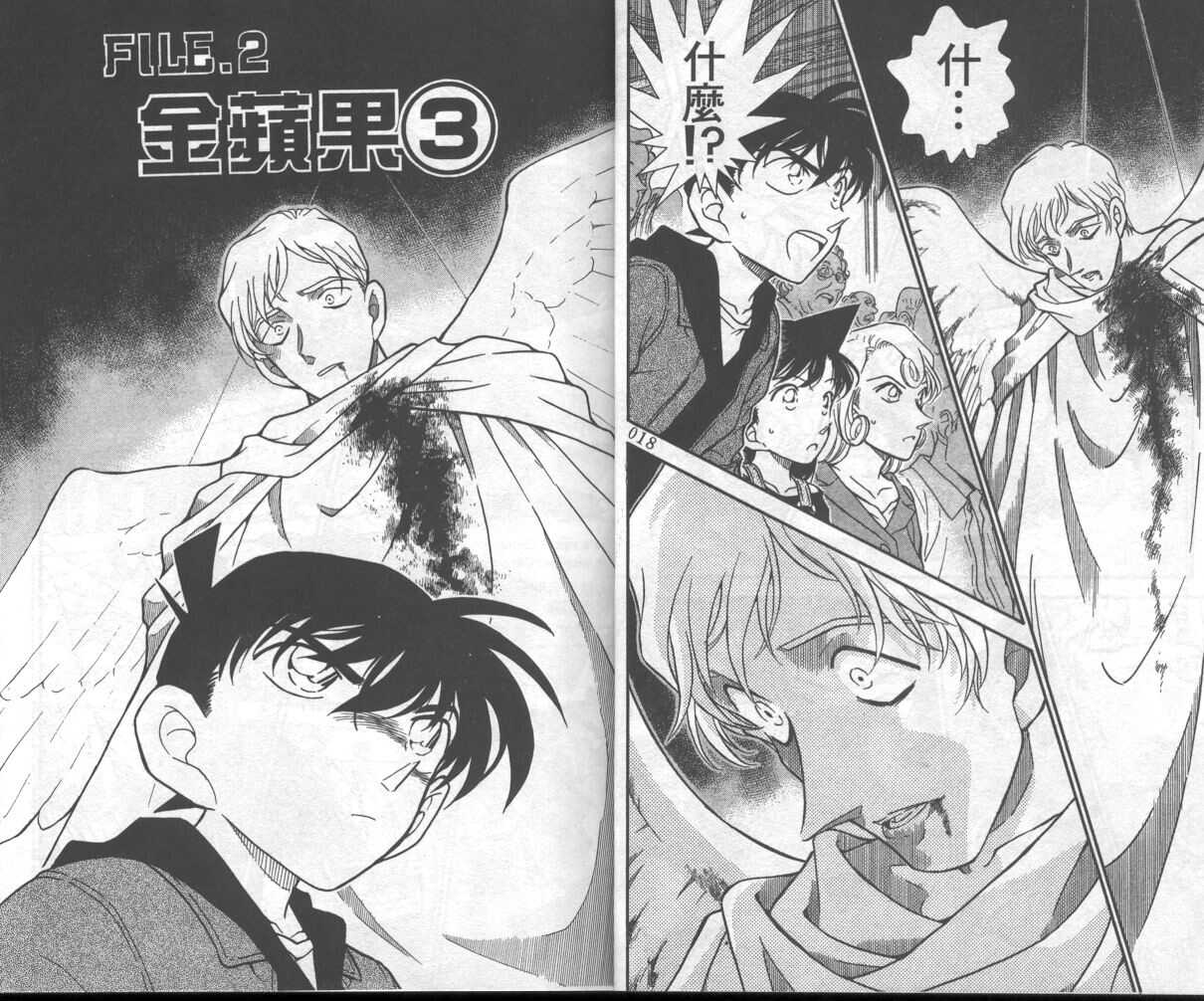 卷35-名侦探柯南-青山刚昌（第12张）