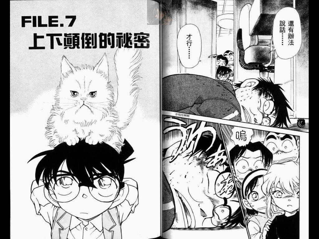 卷52-名侦探柯南-青山刚昌（第53张）