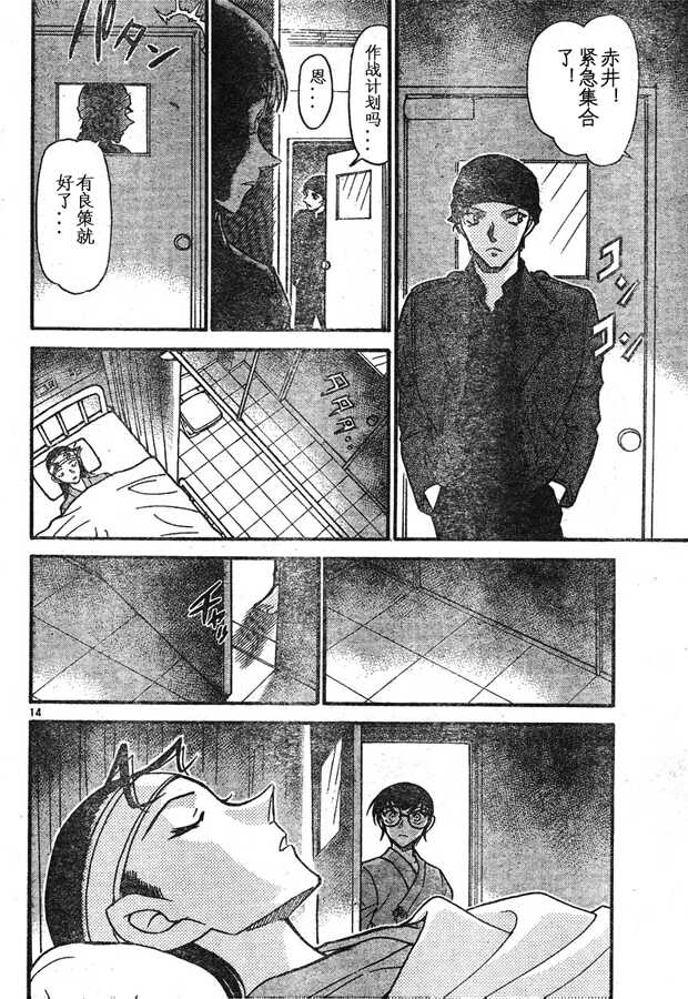 第599话-名侦探柯南-青山刚昌（第14张）