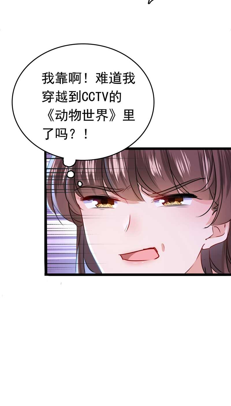 第219话我走了，保重！-王爷不能撩-默默然&轻漫文化?文：艾蓝（第28张）