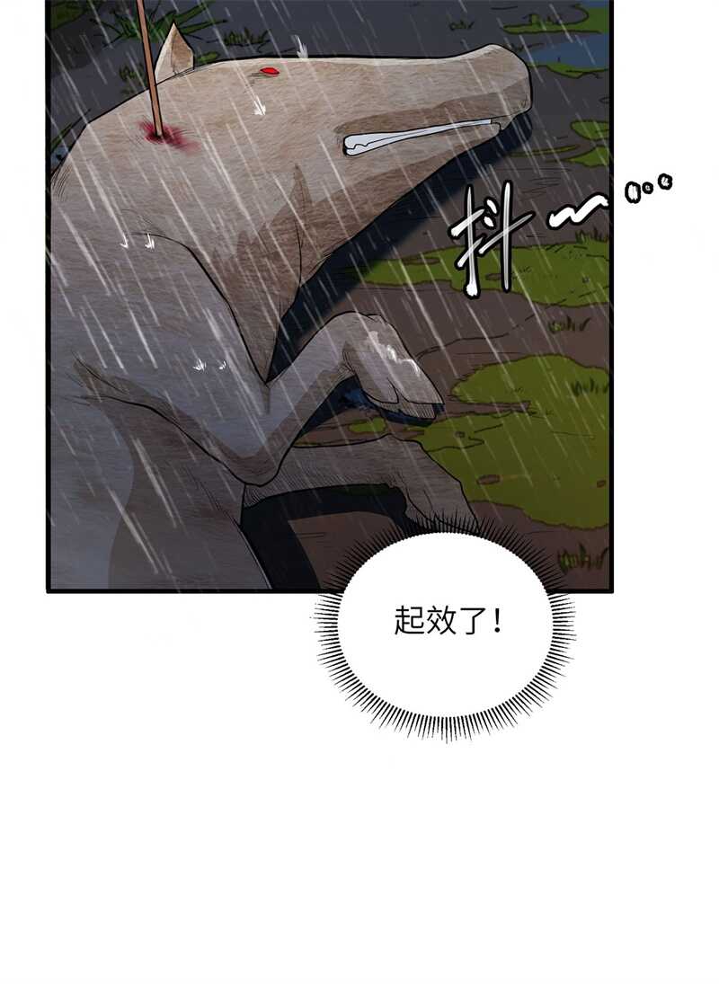 040熊猪斗-我和妹子们的荒岛余生-青葶动漫（第37张）