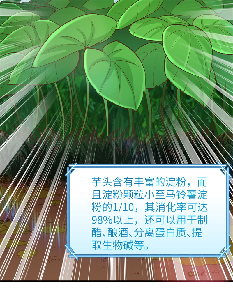 078起锅！吃饭！-我和妹子们的荒岛余生-青葶动漫（第6张）