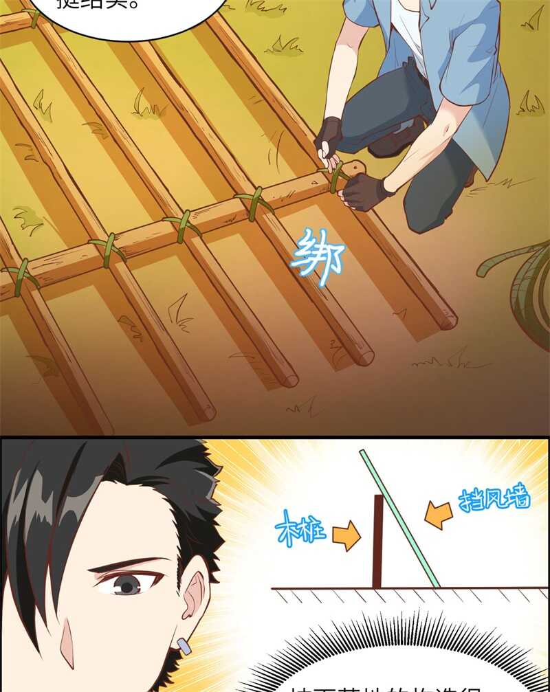 006搭建营地-我和妹子们的荒岛余生-青葶动漫（第29张）