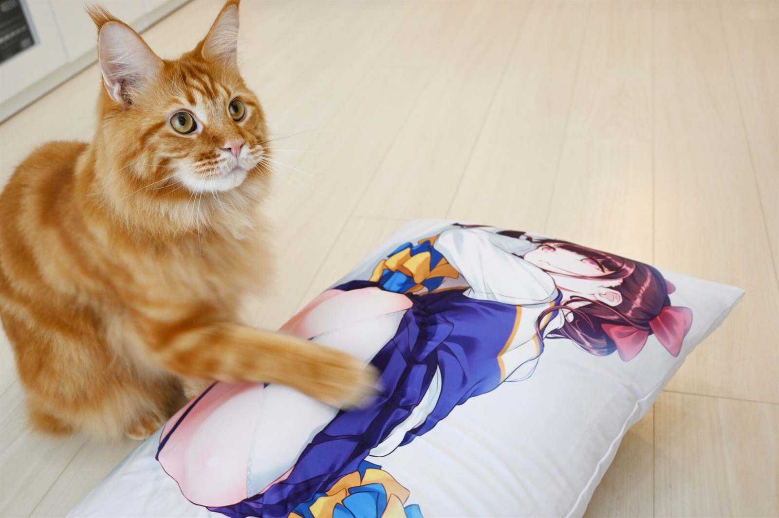 杂图14-我家的猫猫是可爱的女孩子！-40原（第7张）