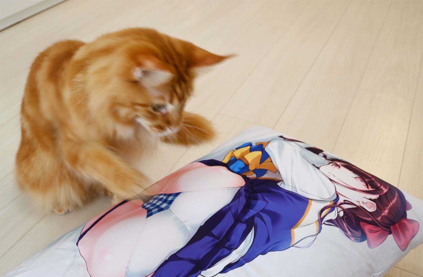 杂图14-我家的猫猫是可爱的女孩子！-40原（第8张）