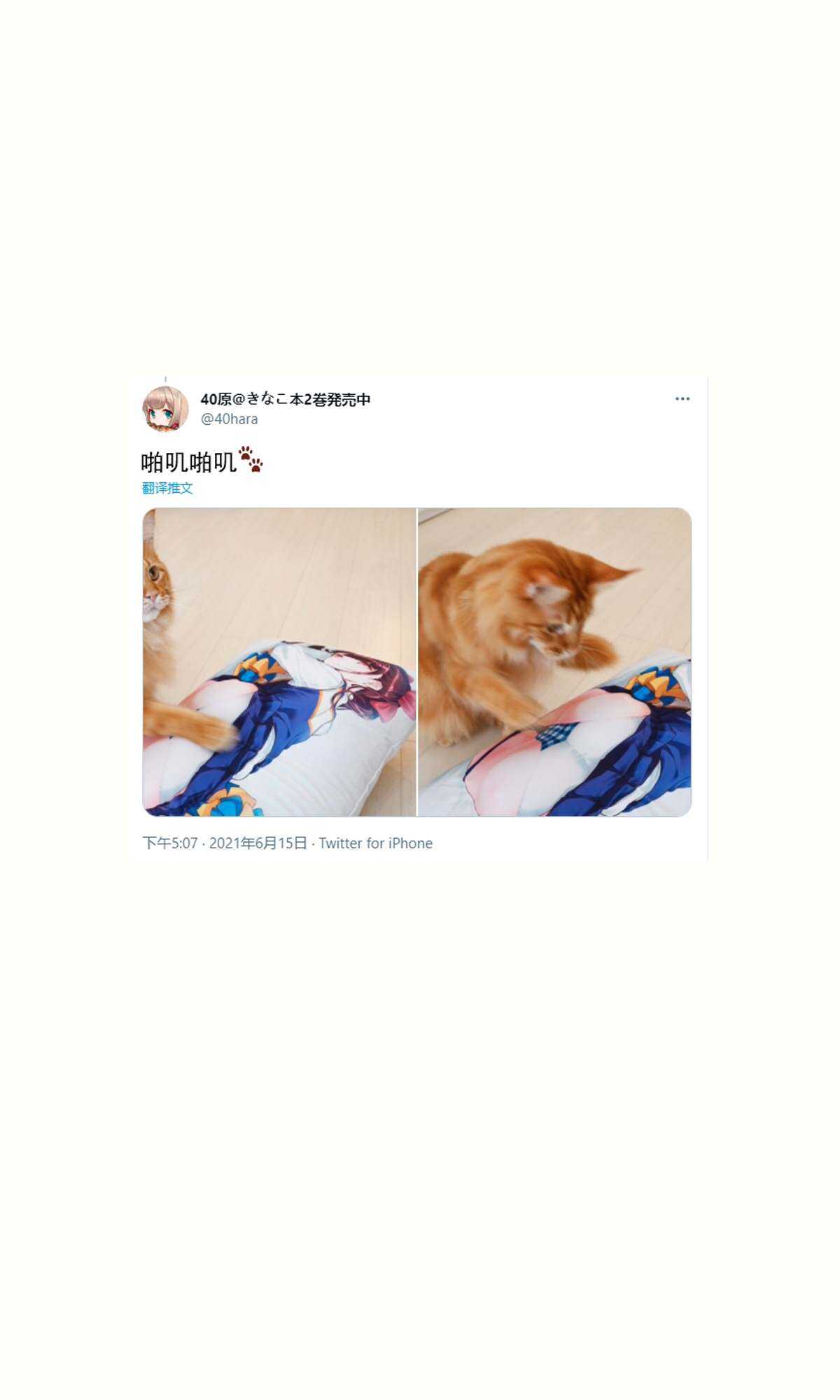 杂图14-我家的猫猫是可爱的女孩子！-40原（第6张）