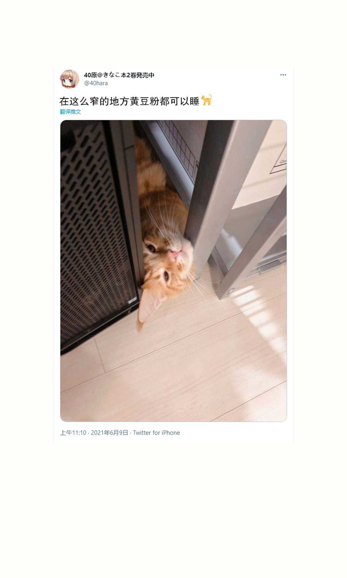 杂图14-我家的猫猫是可爱的女孩子！-40原（第4张）